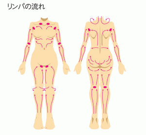 lymph_02